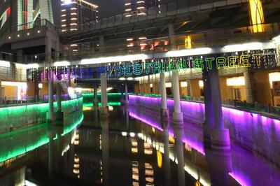 凤溪地滨河步行街 (5)