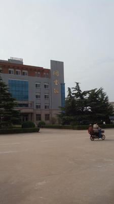 学校公寓及教学楼金属字2