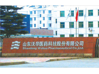 沃华医药 大门口 不锈钢字制作安装